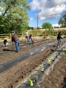 Community Garden at Eagle Naz