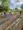 Community Garden at Eagle Naz