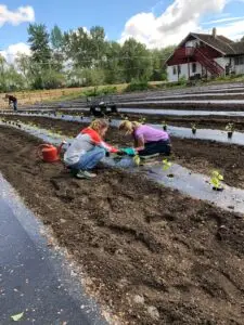Community Garden at Eagle Naz